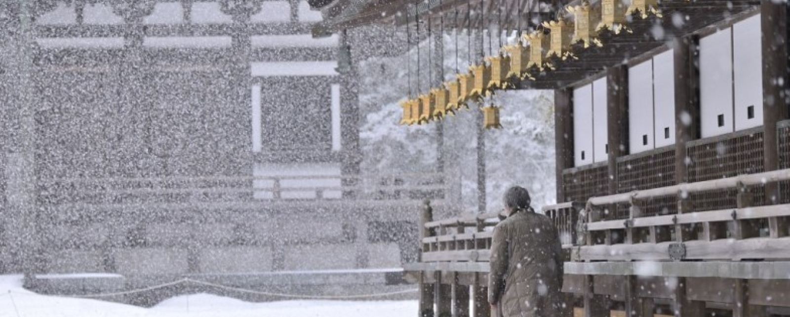 Craig Ellis: O Mestre e a História Controversa do Reiki Tibetano