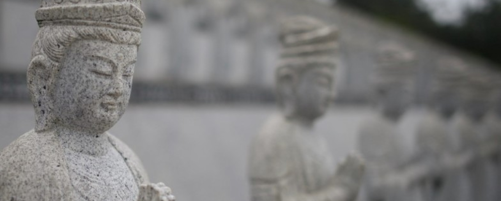 Cura Magnificada: O Caminho da Ascensão pela Chama Trina