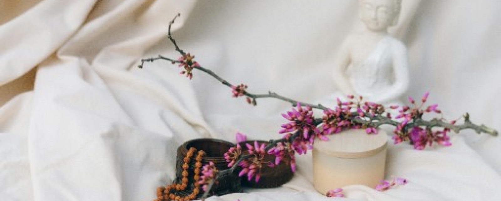 Diane Stein e o livro das Mutações de Kuan Yin