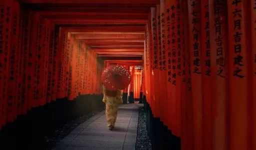 Linhagem Tradicional: A Raiz Histórica