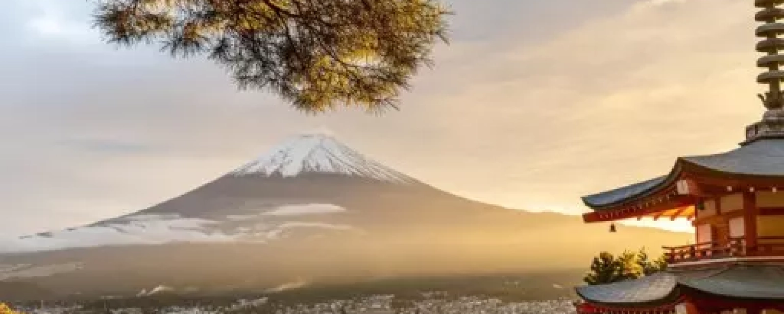 Níveis de Reiki Tradicional: O Caminho